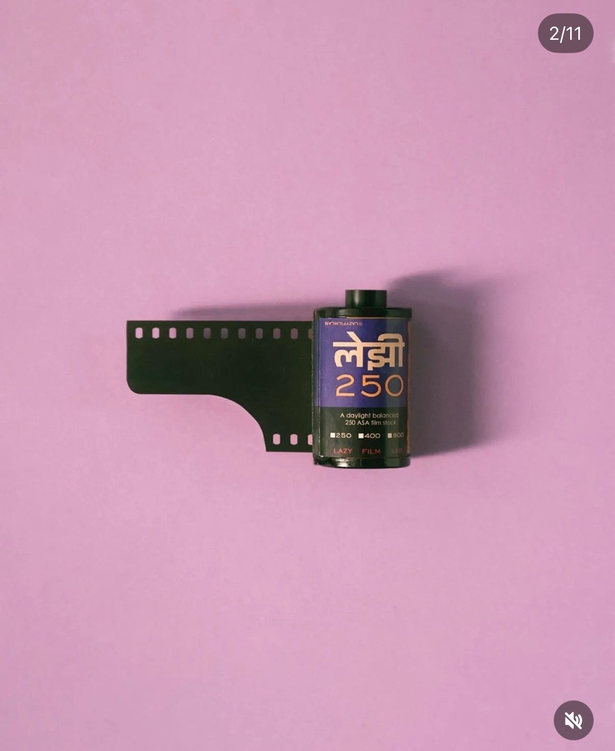 LAZY 250 product 2