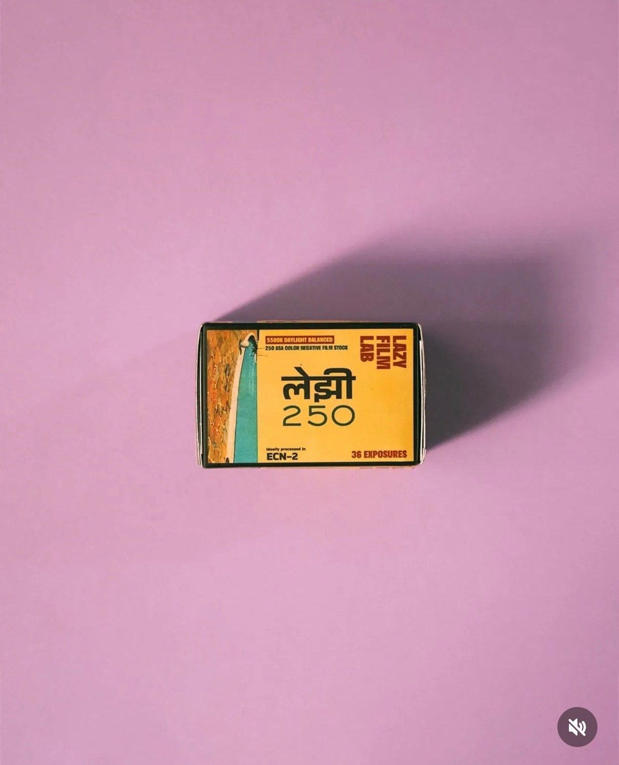 LAZY 250 product 4