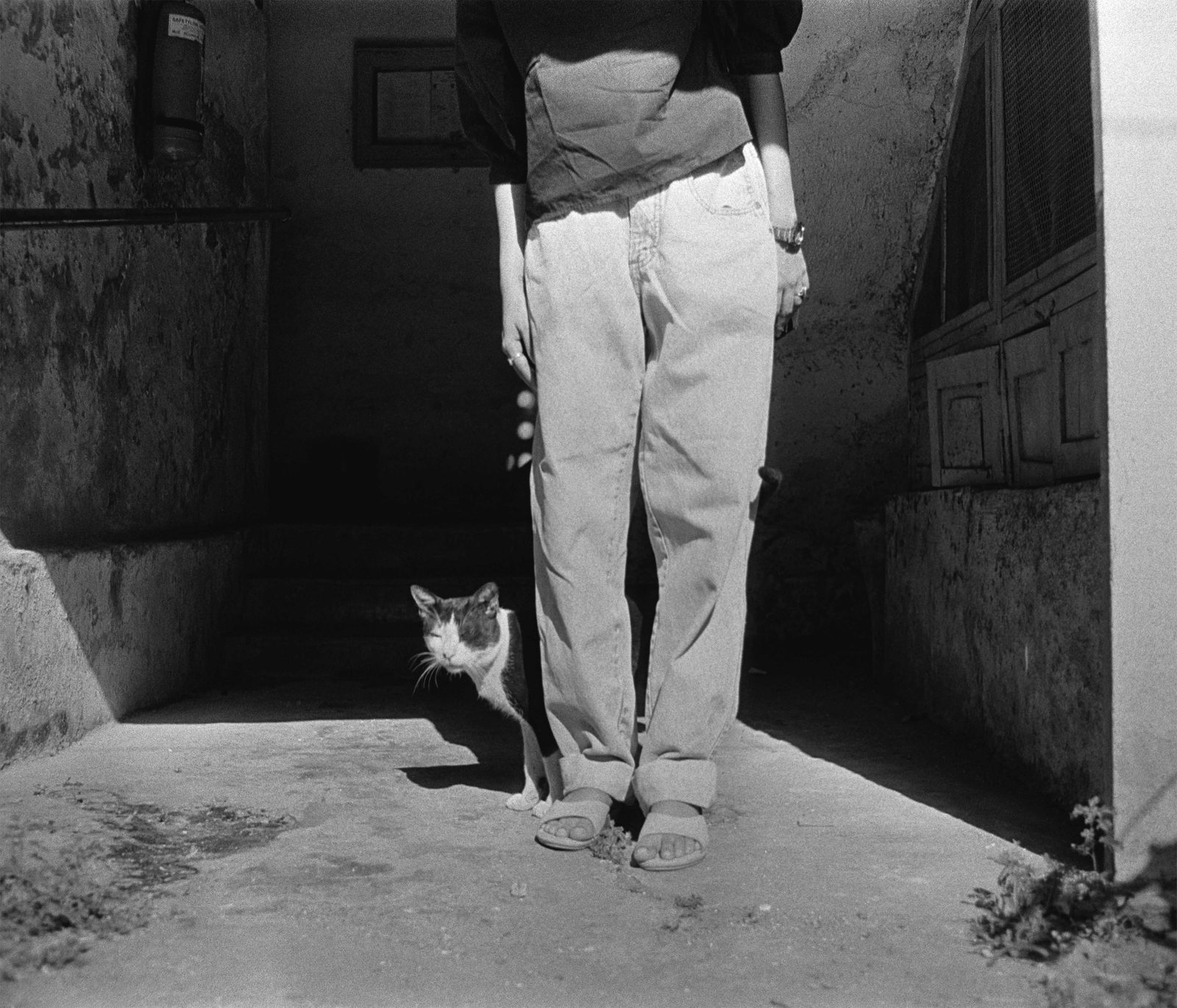 Lazy Film Lab sample 1