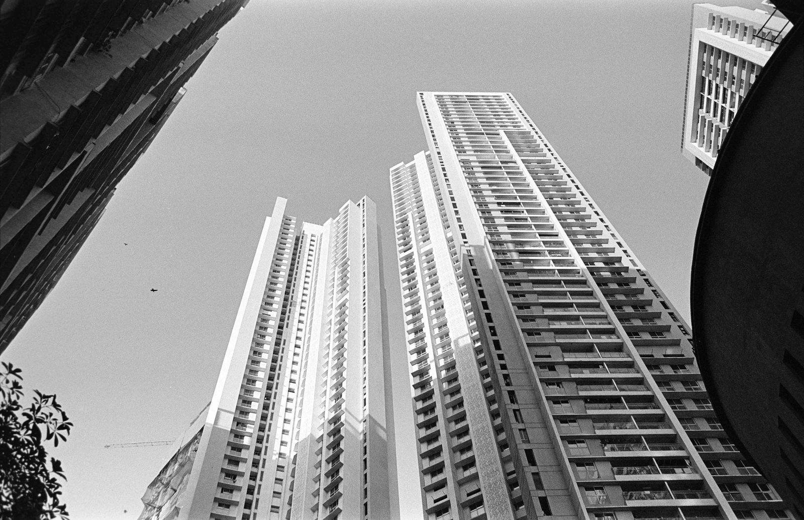 LAZY Monochrome sample 6